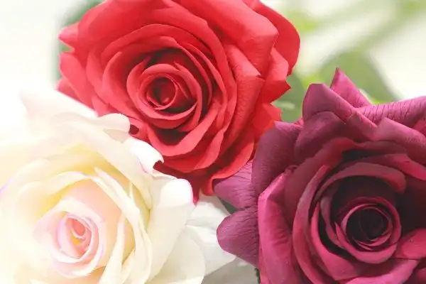 Where to buy high quality artificial roses?